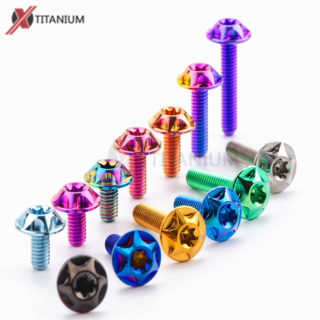 Titanium License Plate Fixing Torx Screws